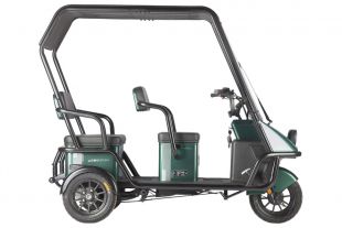 Электротрицикл Wanshida NIPLA 500 60V 1000Вт